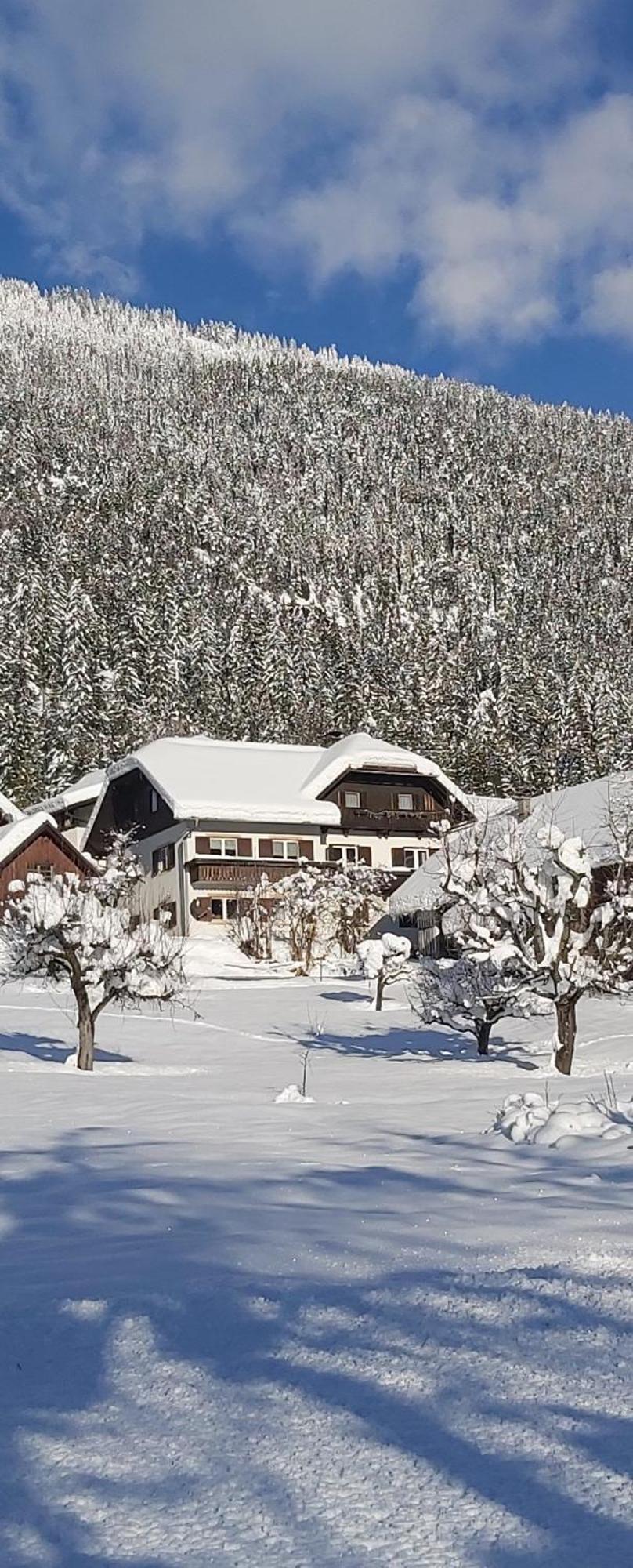 Haus Binder Appartement Weissensee Buitenkant foto
