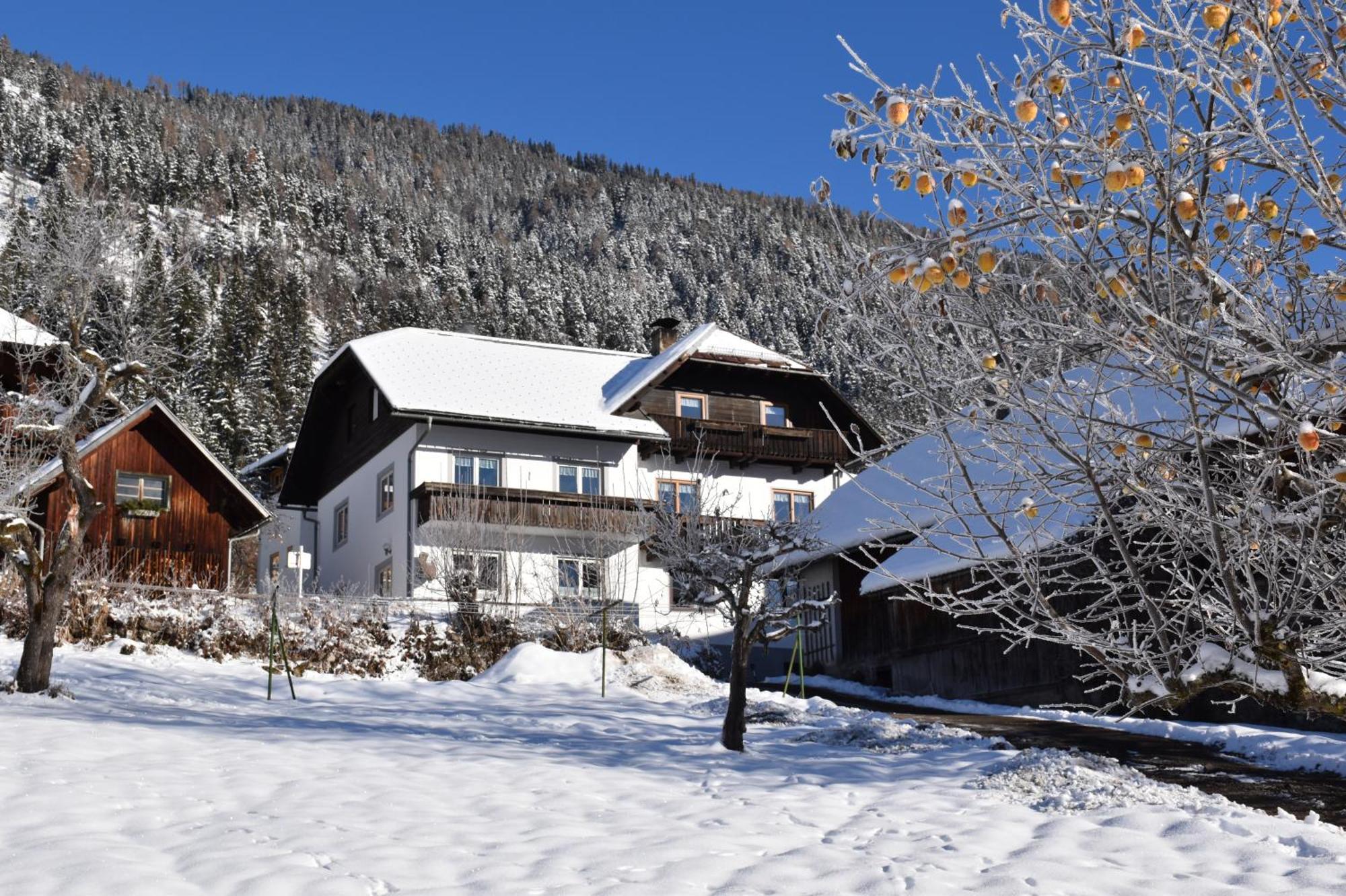 Haus Binder Appartement Weissensee Buitenkant foto